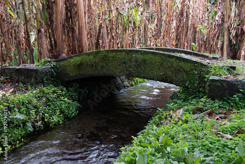 Schilderij op canvas A charming small stone bridge over a quiet stream