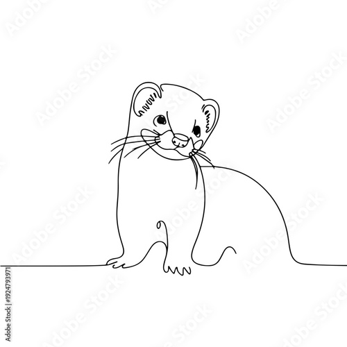 ferret simple one line art, vector illustration