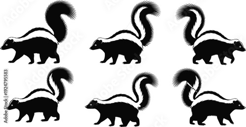 Skunk silhouettes set black and white striped wild animal vector illustration collection isolated on white background wildlife design