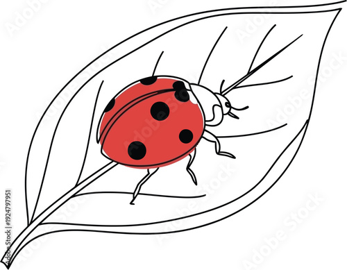 Minimalist single line drawing featuring a brightly colored ladybug with black spots resting gently upon a simple outline of a green leaf