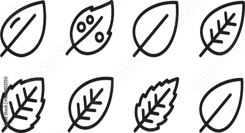 Eight different types of leaves drawn in a simple black and white line art style Vector