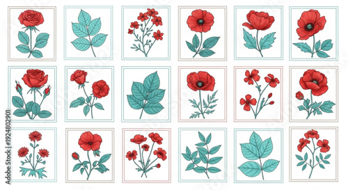 Collection of red poppy flowers and green leaves in square frames on white background for decoration and design