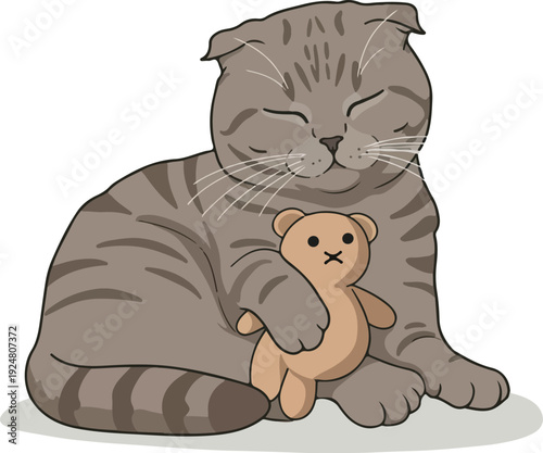 Cute Scottish Fold Cat Hugging Teddy Bear Vector