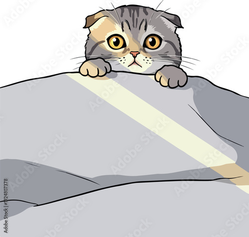 Cute Scottish Fold Cat Peeking Over Grey Blanket Soft Pastel Lighting