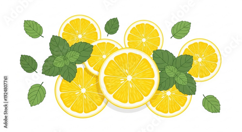 Fresh lemon slices with green mint leaves on white background citrus fruit arrangement