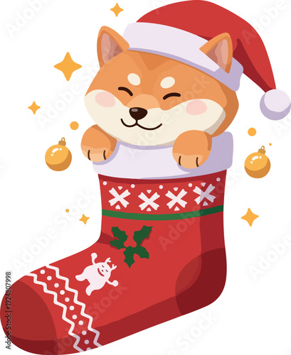 Cute Shiba Inu Dog Wearing Santa Hat In Christmas Stocking