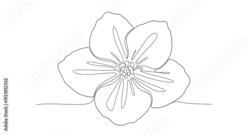 Minimalist single line drawing of a delicate flower, elegant botanical art, simple floral illustration