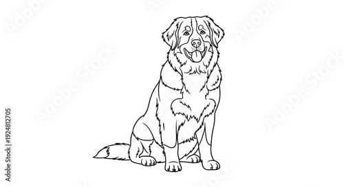 Line Art Drawing of a Happy Bernese Mountain Dog Sitting and Smiling