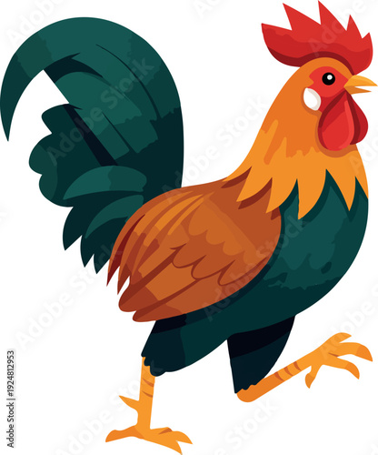 Isolated Rooster With Orange Feathers and Teal Body Walk