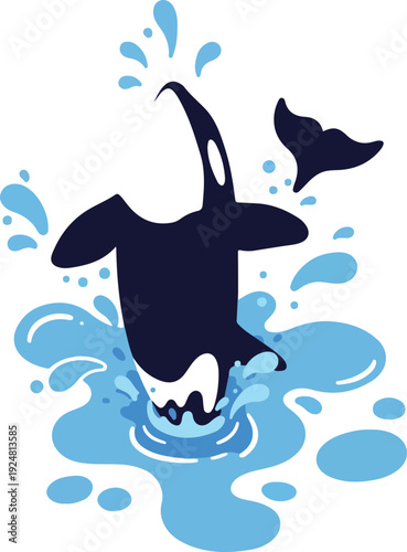 Jumping Orca Whale Water Splash Isolated Illustration Vector