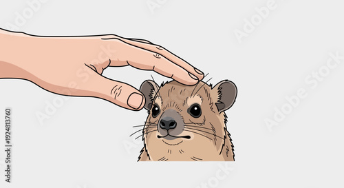 Gentle Hand Petting Cute Hyrax Animal on White Background