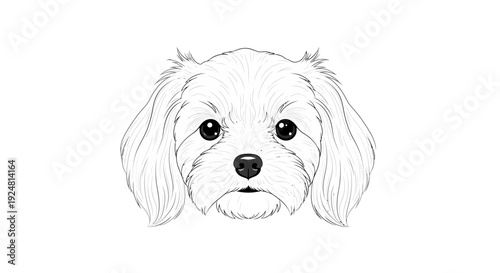 Cute Puppy Drawing, Adorable Dog Face Sketch, Fluffy Pet Portrait, Black and White Illustration