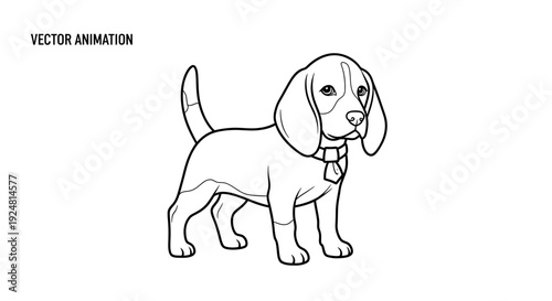 Cute Beagle Dog Standing, Vector Animation Line Art, Isolated on White Background