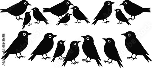 Black bird silhouettes set with various small garden birds, sparrows, and finches in different perching poses, isolated on white background (20 words)