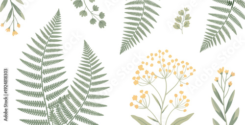 Botanical fern and wild herb elements vector illustration set featuring delicate leaves and flowers isolated on white for nature designs