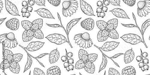 Medicinal herbs seamless pattern. Vector drawing illustration. Engraved style.