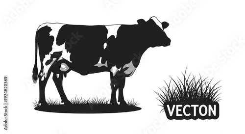 Black and white cow silhouette standing in grassy field