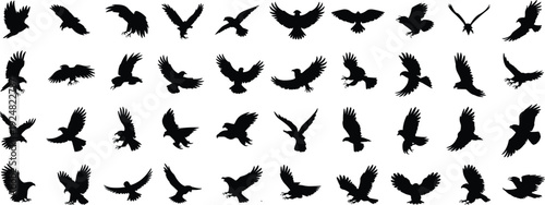 Large collection of bird of prey silhouettes, flying eagles, hawks, and falcons in diverse soaring poses