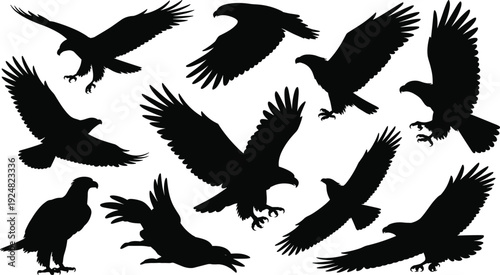 Eagle, Silhouette, Bird of prey, Flying, Soaring, Hawk, Raptor, Falcon, Wings, Nature, Wildlife, Set, CollecWinged, Icon, Vector, Graphic