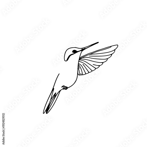 Elegant Hummingbird in Flight: Minimalist Black Line Art Illustration on a Clean White Background, Ideal for Nature and Avian Designs