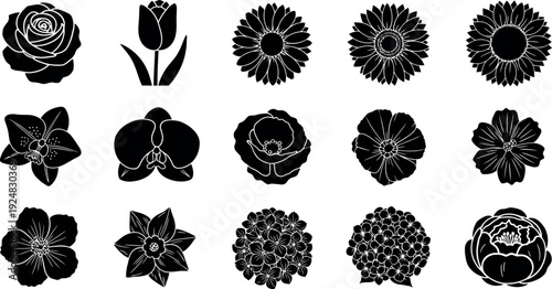 Collection of fifteen black and white floral silhouette flower rose tulip daisy sunflower