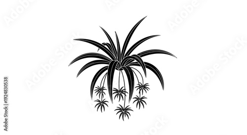 Black and White Silhouette of a Hanging Plant with Multiple Offshoots