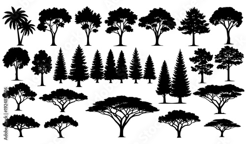 Big Tree Silhouette Set from Tropical Temperate and Desert Natural Zones Vector Illustration