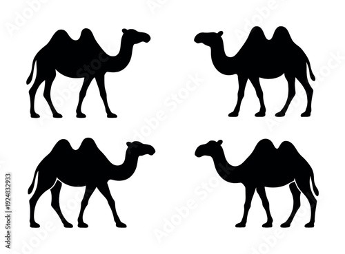 Four silhouetted camels against white background