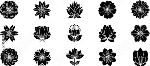 Collection of fifteen black floral silhouette on white background flower