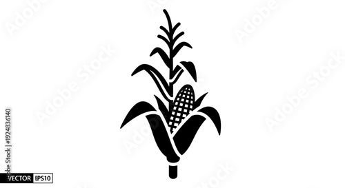 Black and White Corn Stalk Icon with Cob and Leaves, Simple Vector Illustration