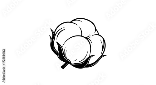 Black and White Cotton Boll Illustration - Natural Fiber Icon