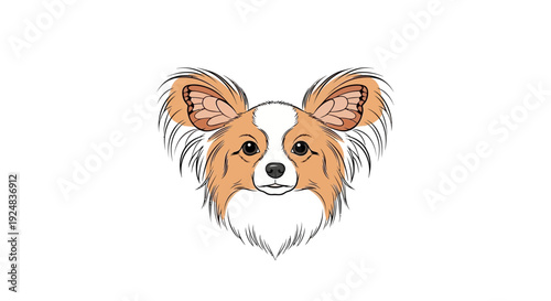 Adorable Papillon Dog Portrait, Cute Small Breed with Butterfly Ears, White Background