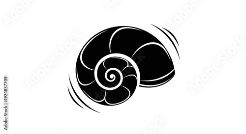 Abstract Black Nautilus Shell Spiral Swirl Silhouette Isolated on White Background