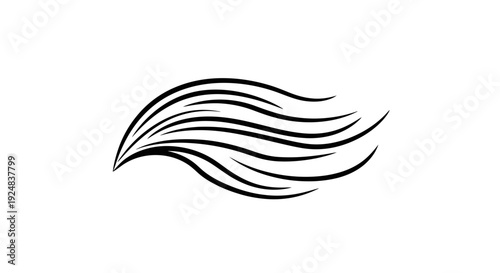 Abstract Black Swirls on White Background