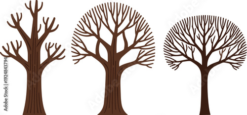Three leafless trees with unique branching patterns, botany illustration, fractal geometry concept, nature design artwork, structural comparison scene - flavector