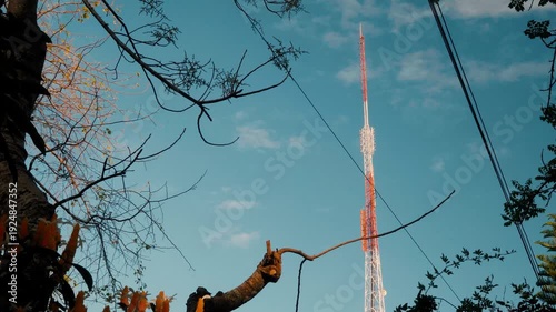 Telecommunication tower rising into blue sky at golden hour – cinematic urban nature contrast footage