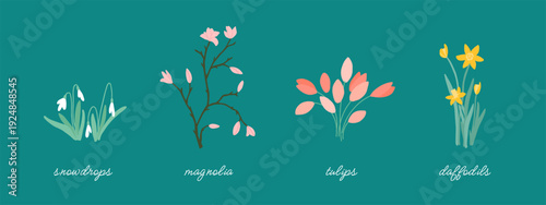 Spring flowers. Minimalist vector spring floral set. Snowdrop, magnolia, tulip, daffodil. Labeled botanical illustrations. Flower icon. Perfect for greeting card, textile design, packaging, eco brand