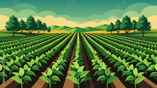 Expansive green crop field with rows of young plants under a muted sky with distant mountains and trees