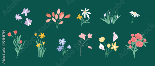 Big set of various flower. Floral blossom. Botanical collection spring, summer flowers, garden nature vector illustration. Design element for wedding invite, greeting card, birthday postcard, textile 