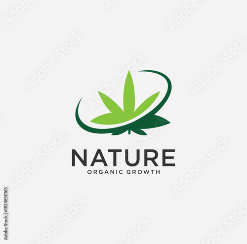 Cannabis Leaf Logo Design Vector Icon	