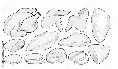 Poultry chicken meat doodle illustration vector
