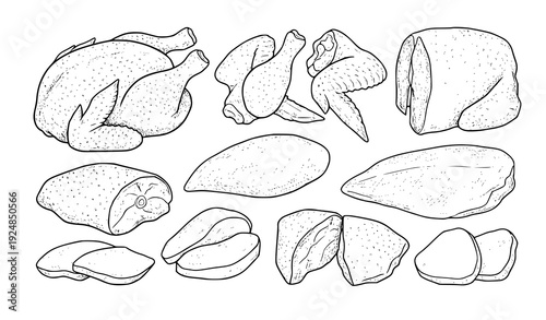 Chicken meat cuts hand drawn sketch vector set