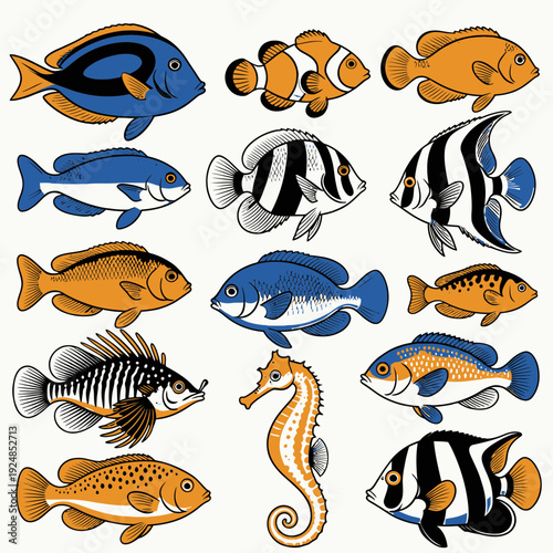 Colorful Tropical Fish Collection vector illustration