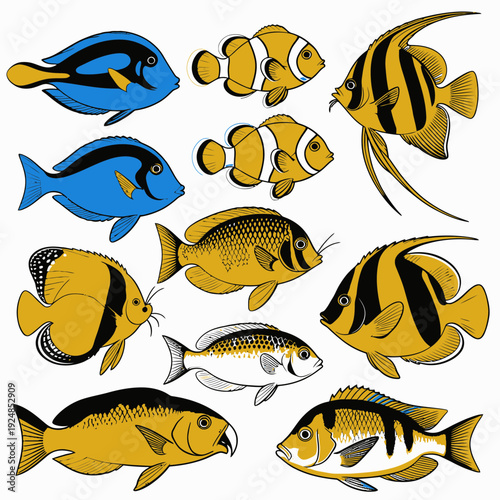 Colorful Tropical Fish Collection vector illustration