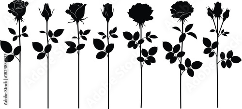 Rose Flower Silhouette Set with Blooming and Bud Roses, Leaves and Stems Vector Illustration Isolated on White Background for Floral and Decorative Graphic Design