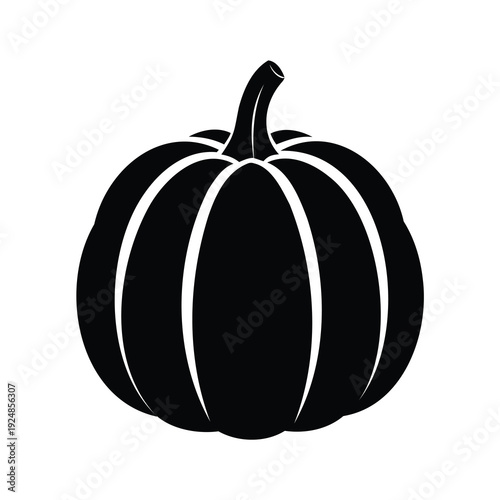 acorn squash silhouette vector illustration