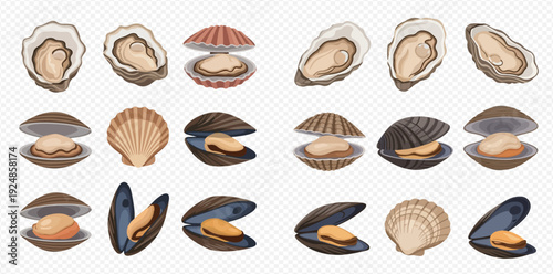 Collection of various fresh seafood including oysters, mussels, and scallops, ready for cooking or consumption.