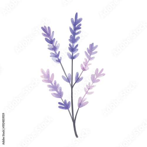 Watercolor Lavender Sprig with Purple and Pink Hues Delicate and Artistic