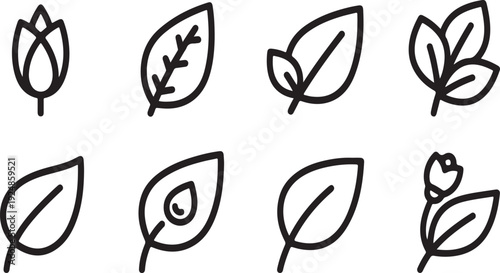 Eight distinct black and white line drawings of various flowers and leaves Vector