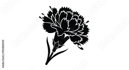 Elegant black silhouette of a single carnation flower on a white background